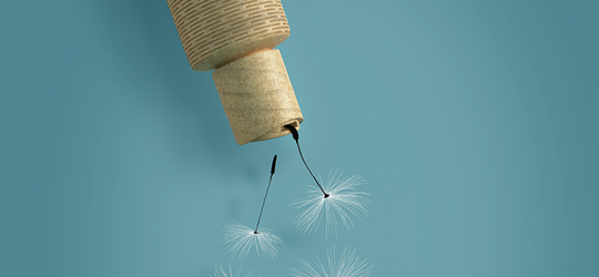 Natural all-rounder can bring sustainable and effective solutions for your business